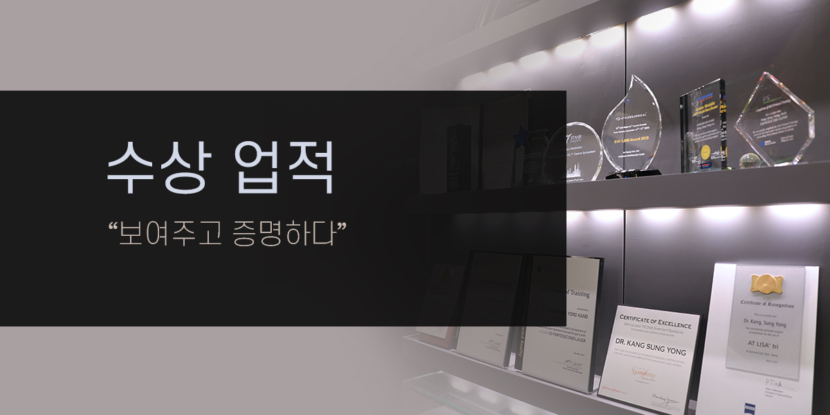 연구하는 아이리움 : 인증 · 수상