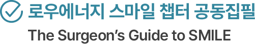 로우에너지 스마일 챕터 공동집필