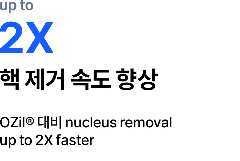 핵 제거 속도 향상